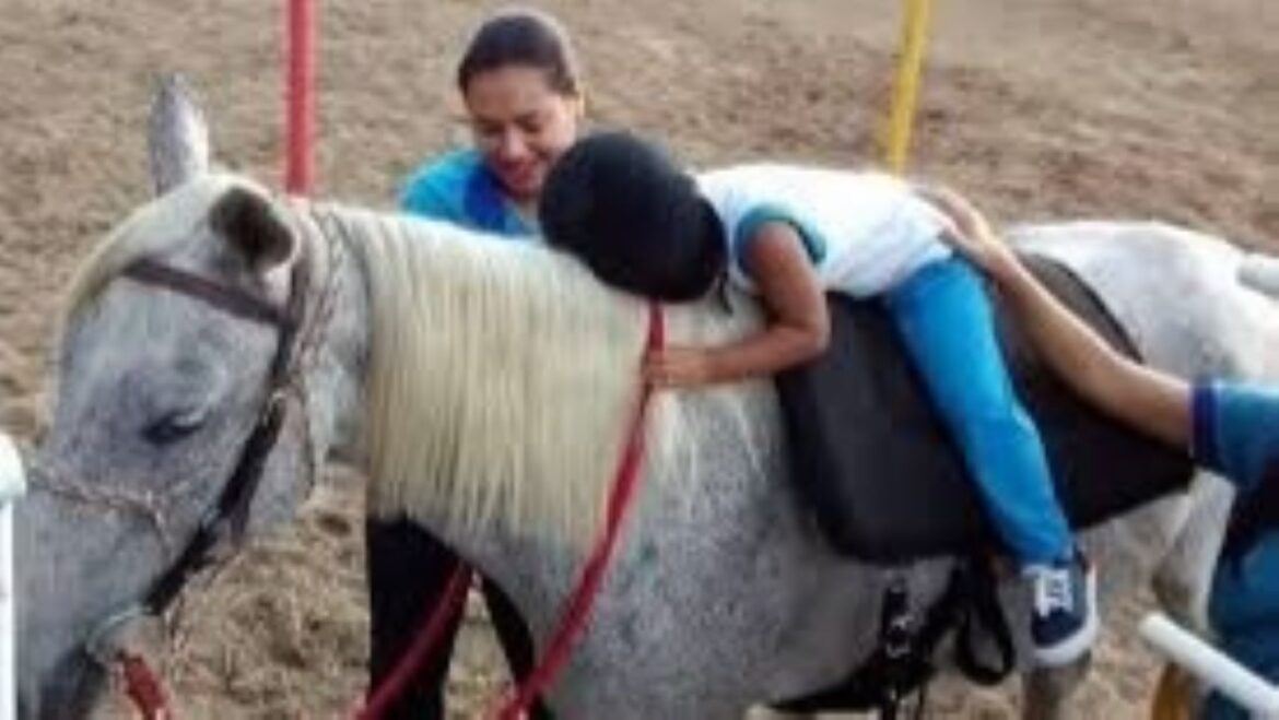 Alunos de Medicina Veterinária do CEUB ampliam o acesso à equoterapia