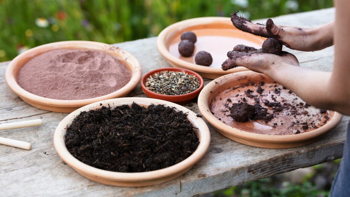 Boulevard Shopping Brasília promove ações socioambientais