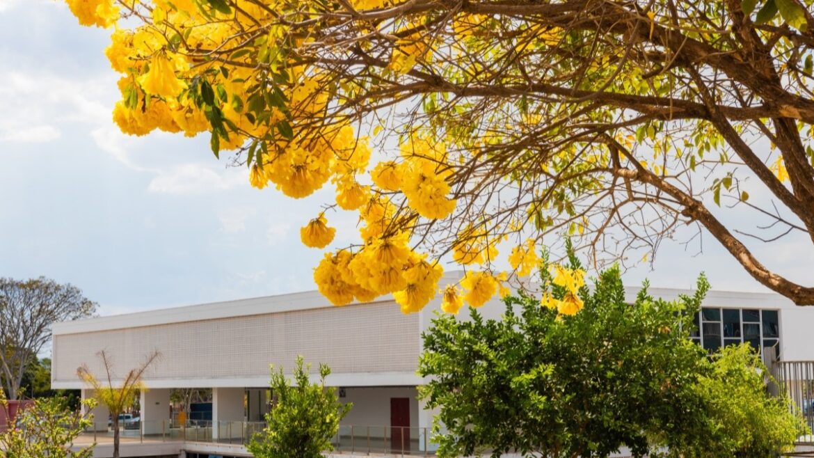 MAB Educativo tem oficinas para a Primavera dos Museus