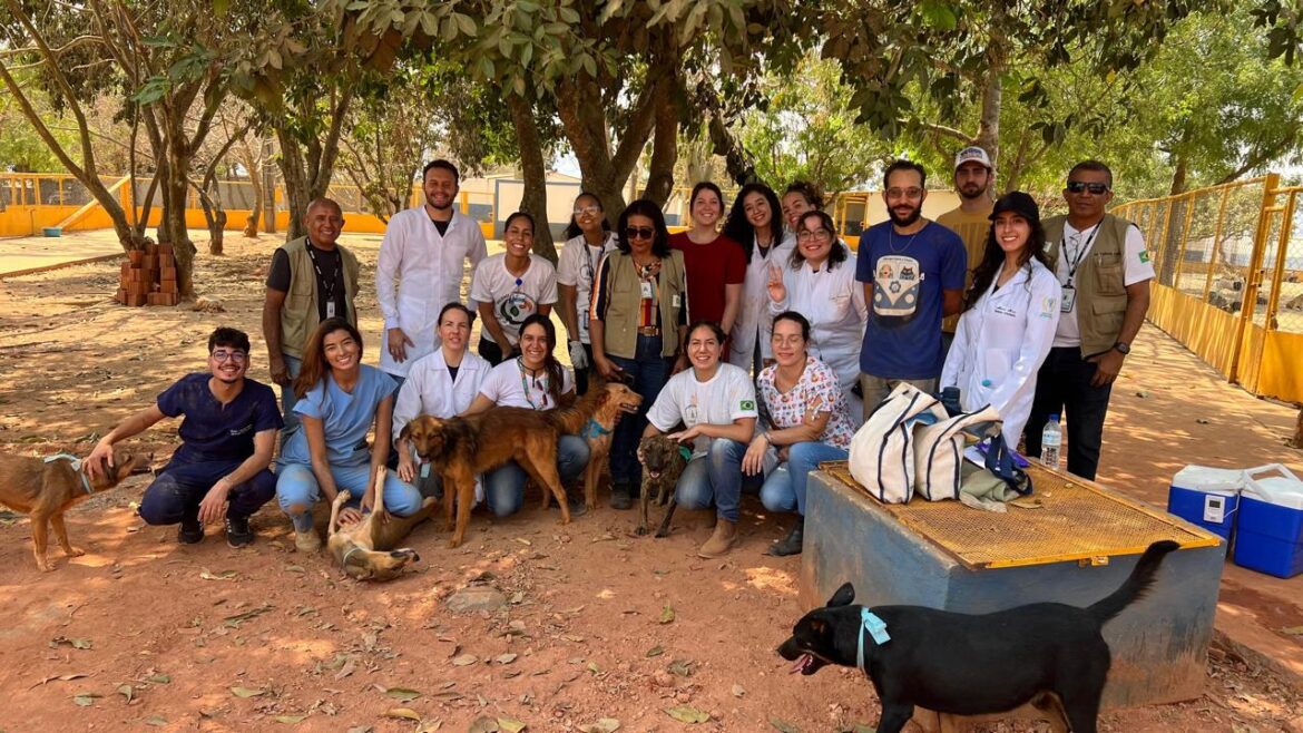 Alunos do UNICEPLAC participam da campanha de vacinação antirrábica do GDF
