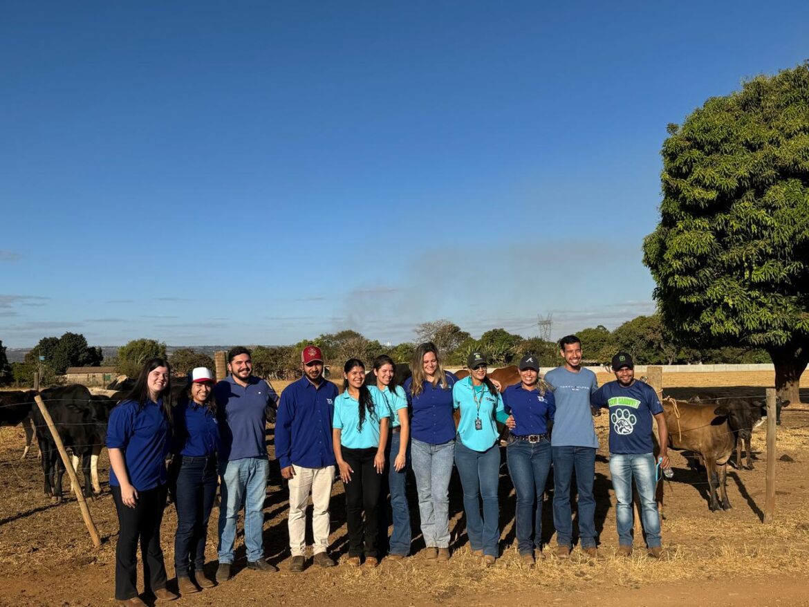 Projeto Consuleite: estudantes de Medicina Veterinária do UNICEPLAC oferecem consultoria gratuita a produtores rurais