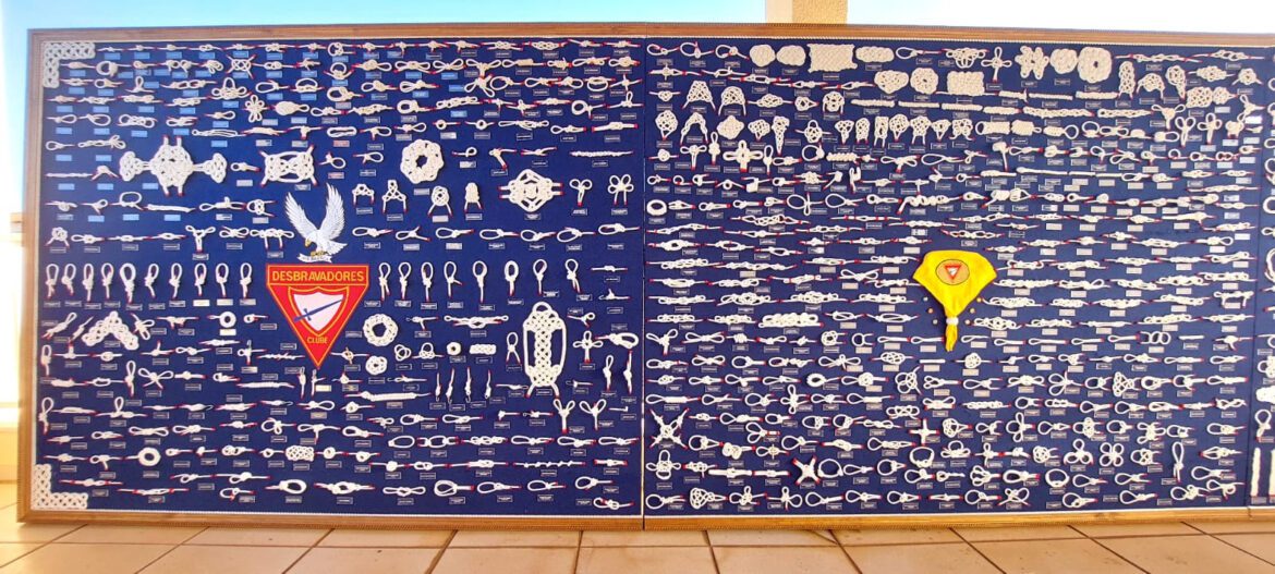 TGS recebe exposição inédita com quadro de nós que consagrou à brasiliense prêmio recorde