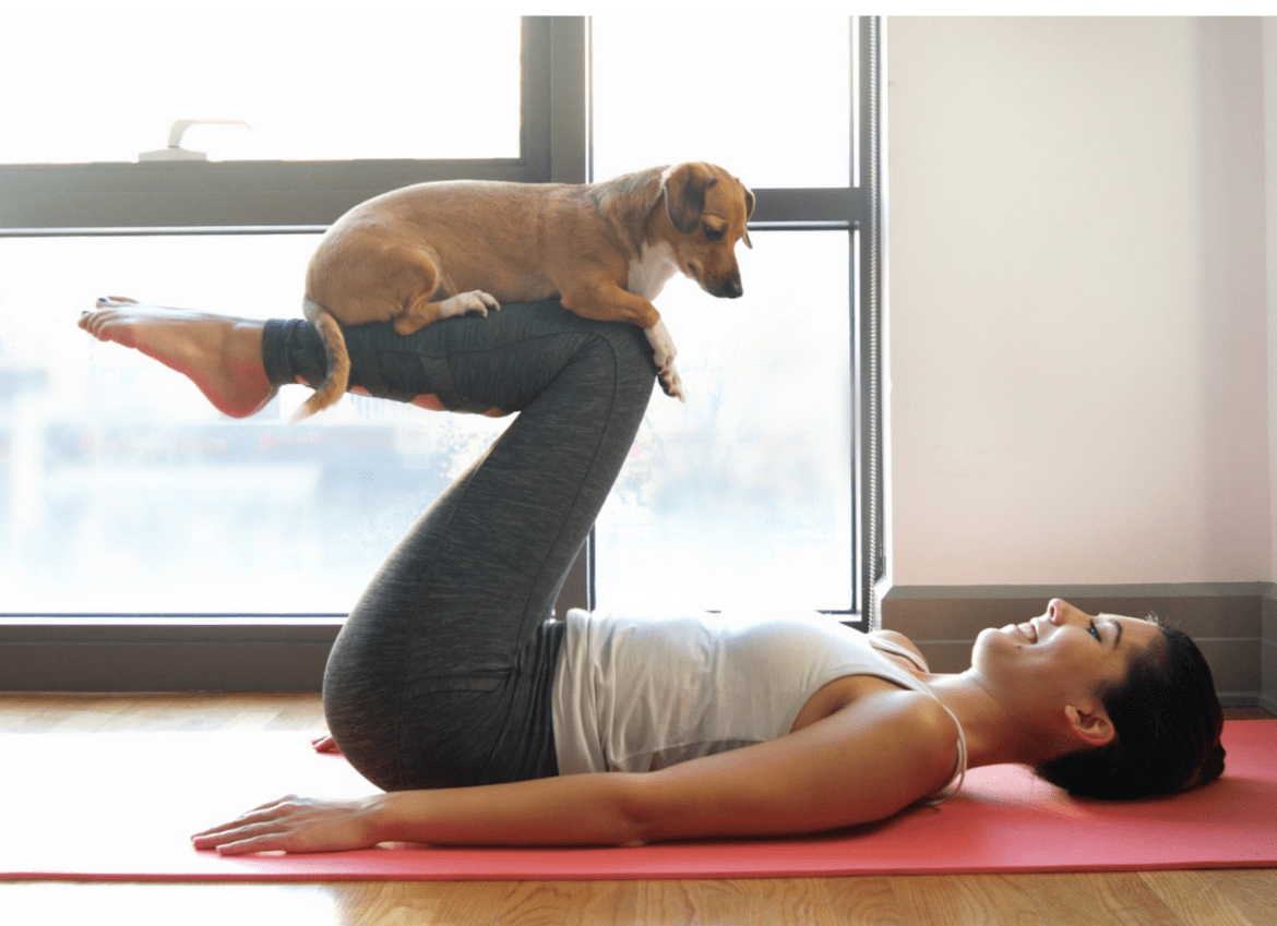 Boulevard Shopping Brasília oferece aula de yoga com pets