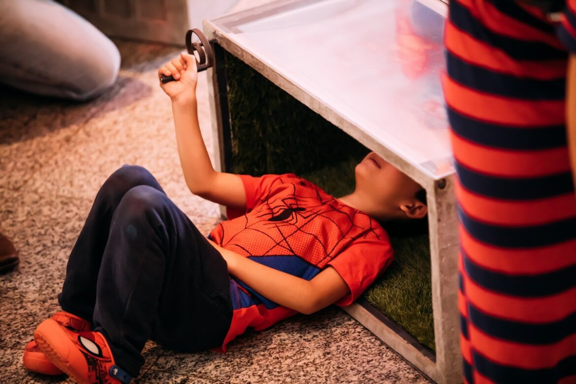 Instalação DE VER Cidade - Brasília Numa Caixa de Brincar chega à Biblioteca Nacional