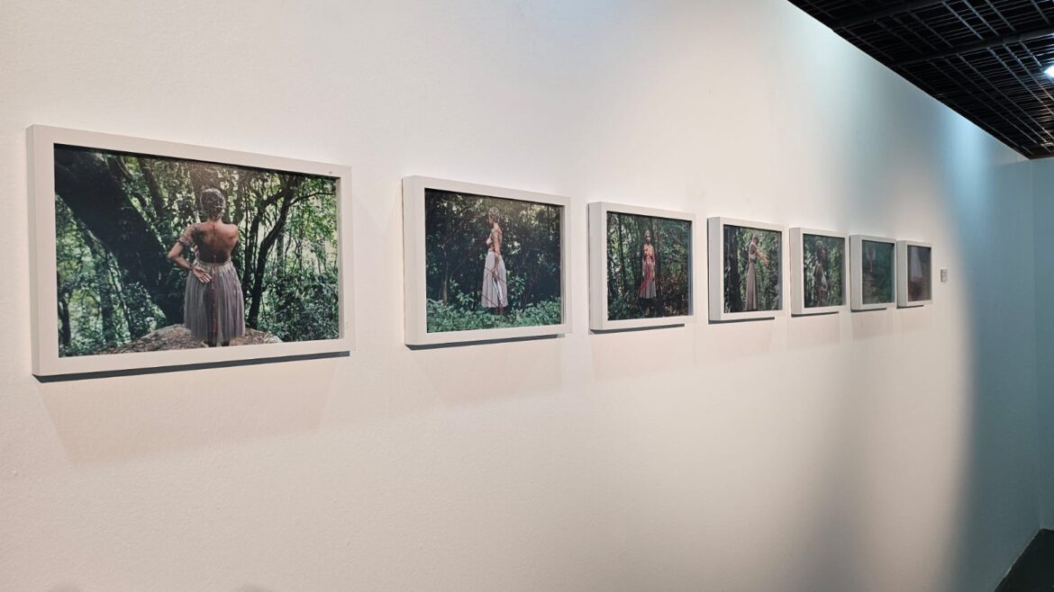 Exposição do Museu das Mulheres enaltece artistas no mês delas