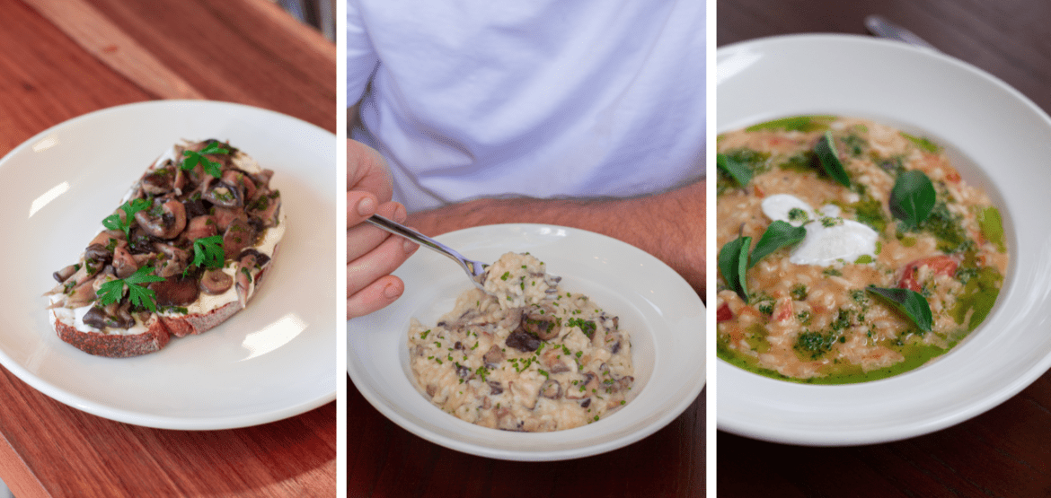 Dia Mundial Sem Carne: La Boulangerie apresenta menu com opções especiais e diversificadas em Brasília