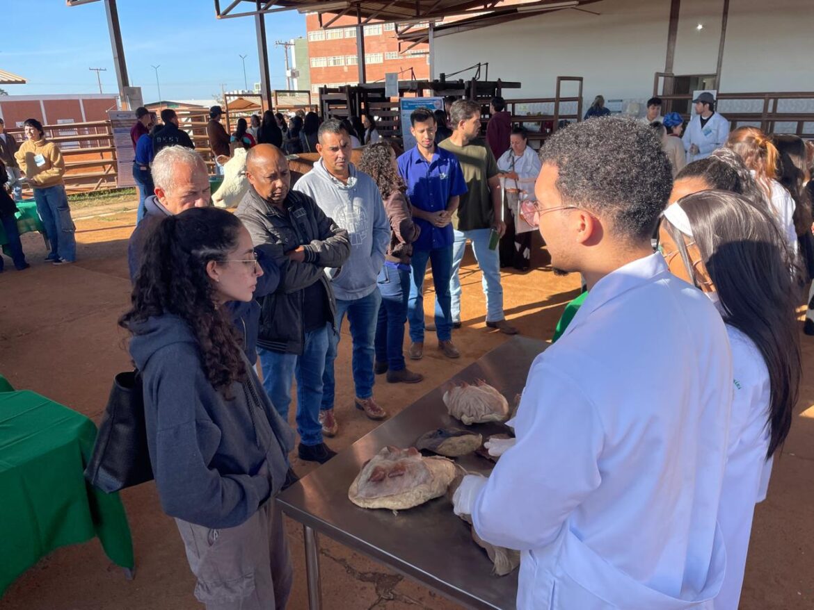 Estudantes do UNICEPLAC levam consultoria gratuita a produtores de leite do DF