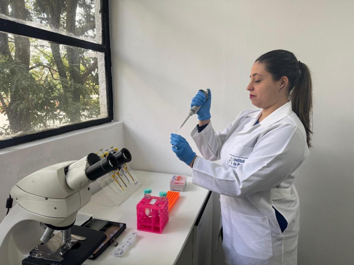 Estudo do Instituto de Pesca revela que baixas temperaturas aumentam risco de infecção viral em alevinos de tilápia