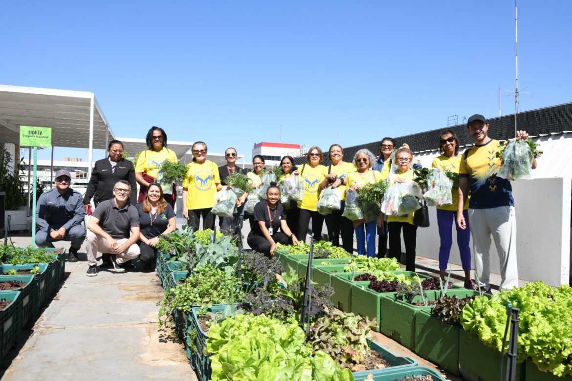 Sustentabilidade Transforma: Conjunto Nacional realiza oficina de compostagem para grupo da melhor idade do Guará