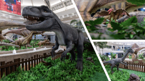 Brasília, agosto de 2025 – Os dinossauros estão entre nós! Embora não circulem pelo planeta há milhões de anos, os gigantes continuam presentes além da imaginação de crianças e adultos. Nos livros, no cinema, nos jogos e brinquedos, os animais jurássicos fascinam, despertam curiosidades e trazem à tona a incrível conexão entre um passado remoto e o nosso tempo. Que tal conhecê-los bem de pertinho? O ParkShopping recebe, de 9 de agosto a 7 de setembro, a Exposição Mundo Jurássico. A mostra pode ser visitada gratuitamente na Praça Central do PKS. Ao circular por ela, o público ficará face a face com fascinantes espécies de dinossauros, em tamanho real, com som e movimento. “É uma exposição que traz a oportunidade de apreciar réplicas extremamente reais de dinossauros, uma verdadeira viagem no tempo. Afinal, os visitantes conseguem ter a real dimensão de como o nosso planeta era habitado há milhares de anos”, observa Anna Aimée Codeço, gerente de marketing do ParkShopping. Além da cenografia, informações sobre a história da vida dos dinossauros, da classificação dos gigantes, dos fósseis e muitas outras curiosidades integram a mostra, promovendo conhecimento e estimulando a pesquisa sobre esse período tão distante que continua a deslumbrar pessoas de todas as idades. “É um tema que não perde a atualidade e está sempre permeando o imaginário, as telinhas e as telonas”, acrescenta Anna Aimée. A Exposição Mundo Jurássico reúne ao todo 13 réplicas, entre elas o incrível Tiranossauro Rex, temido e consagrado nas telas de cinema. A réplica tem 13 metros de comprimento e 6 metros de altura. O T.Rex, cujo nome significa “lagarto tirano rei”, foi um dos maiores carnívoros terrestres encontrados em nosso planeta. Ele pesava entre 5,5 e 8 toneladas, podendo chegar a 9. Um outro peso pesado que poderá ser visto na mostra é o Espinossauro. Alguns cientistas acreditam que ele era mais longo e mais pesado que o T. Rex, com cerca de 14 a 15 metros de comprimento corporal, podendo chegar a 18. O animal pesava até 7,5 toneladas. Trata-se de uma espécie de dinossauro carnívoro que andava como um quadrúpede e como um bípede, sendo uma das estrelas do filme Jurassic Park 3. Paleontólogos concordam que o Espinossauro tinha fortes laços com a água, ou seja, nadava muito bem. Uma curiosidade importante: das espécies expostas, o Espinossauro viveu também, há 100 milhões de anos, na região hoje conhecida como Brasil. Entre os achados científicos até o momento, foi o maior dinossauro terópode que já existiu.