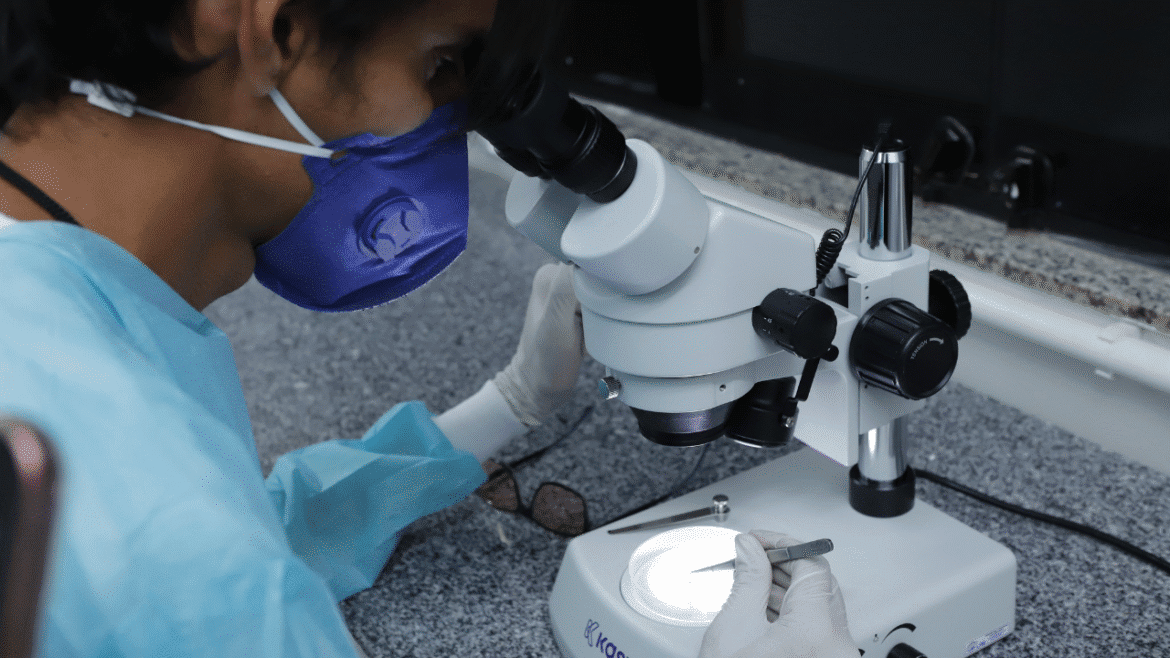 Biofábrica no DF produz mosquitos que ajudam no combate à dengue