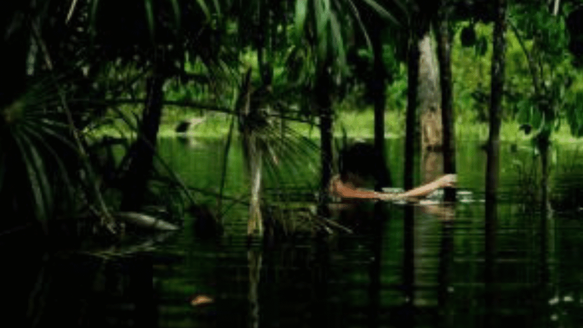 Exposição interativa e inédita no CCBB destaca o olhar de fotógrafas do Pará