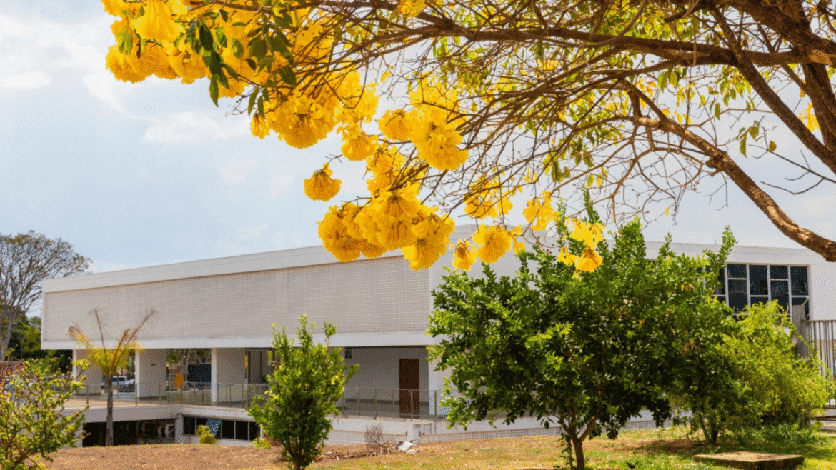 MAB Educativo celebra a Primavera dos Museus com programação especial em setembro