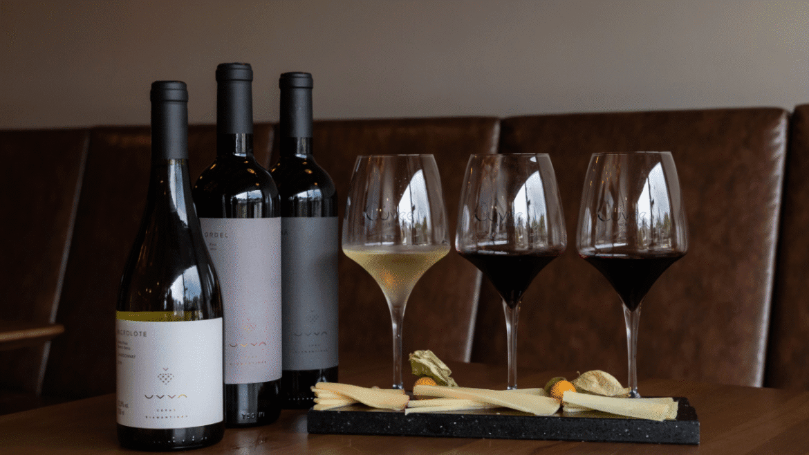 Vinum Brasilis 2025: feira completa 20 edições e celebra com mais de 250 rótulos nacionais