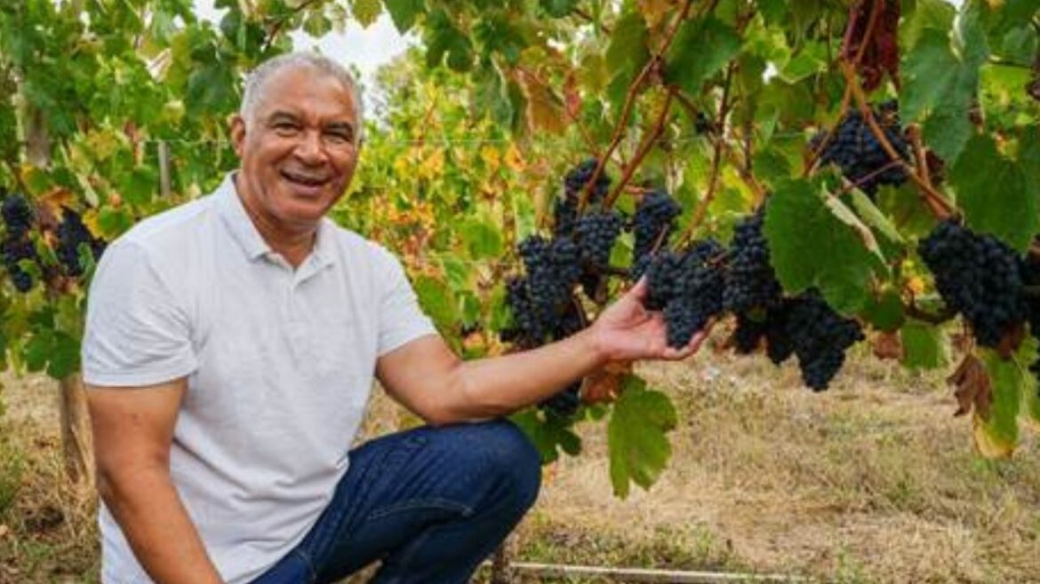Sabores do Enoturismo estreia em Brasília com vinhos portugueses premiados e programação cultural imperdível