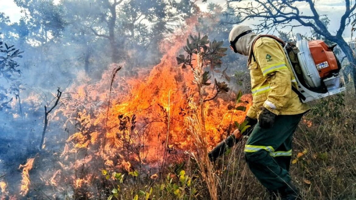 Fórum do GDF vai traçar estratégias contra incêndios florestais para 2026