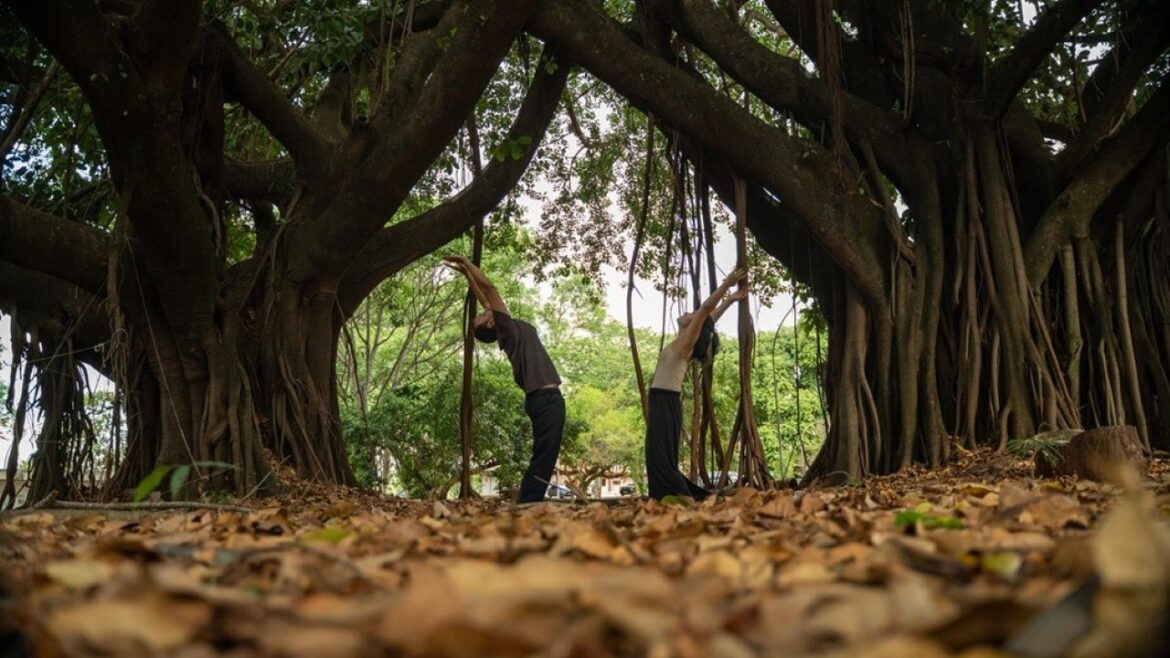 Projeto Desestressa Dançando integra arte e saúde por meio de oficinas gratuitas para a comunidade
