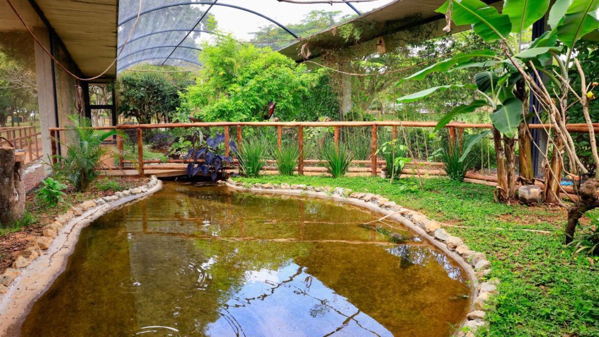 Zoológico de Brasília celebra 68 anos com programação especial e entrada gratuita