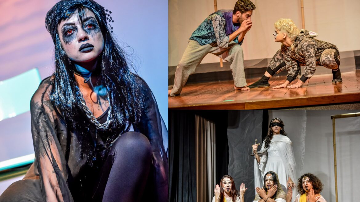 Teatro de Sobradinho recebe espetáculo inspirado no legado de Nise da Silveira