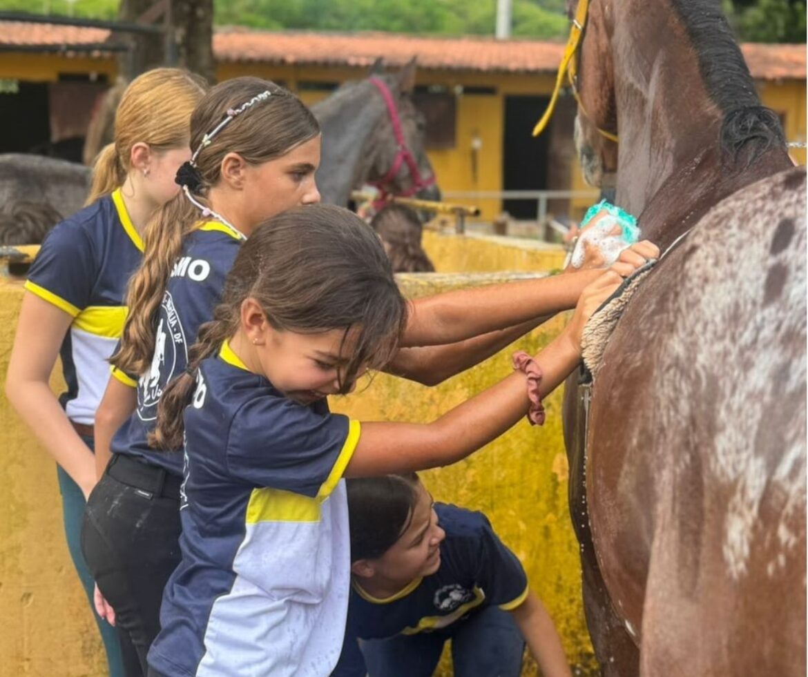 Centro Hípico do Parque oferece colônia de férias com atividades equestres para crianças de 5 a 14 anos