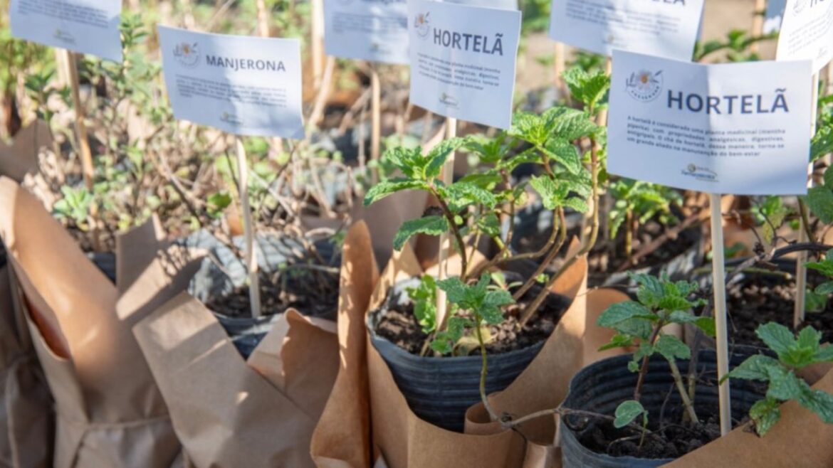Projeto Preservar chega à 23ª edição com crianças como protagonistas da educação ambiental